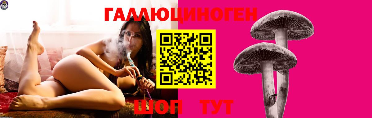 Псилоцибиновые грибы Psilocybine cubensis  наркота  Чернушка  Вход с VPN 